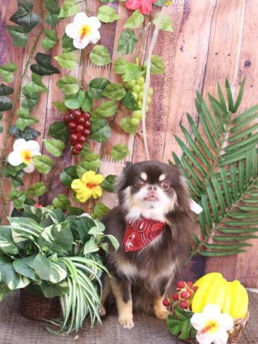 20230810フェルくん